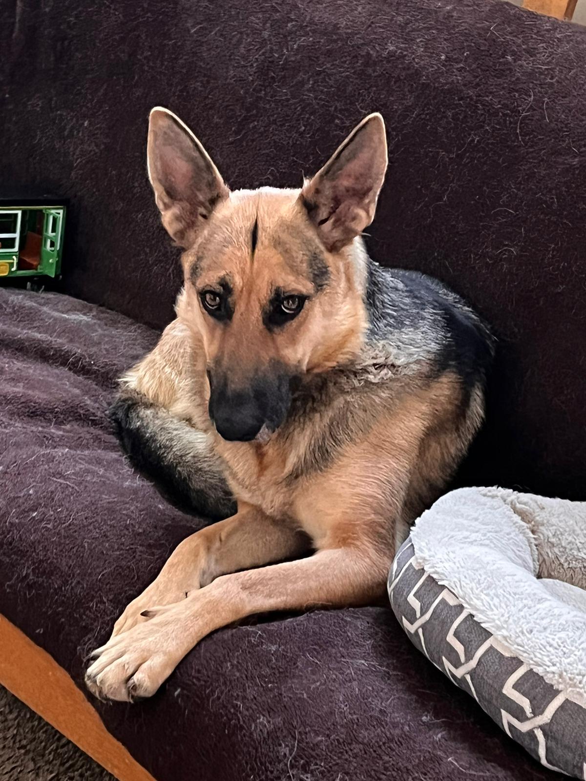 Bella – Nottingham